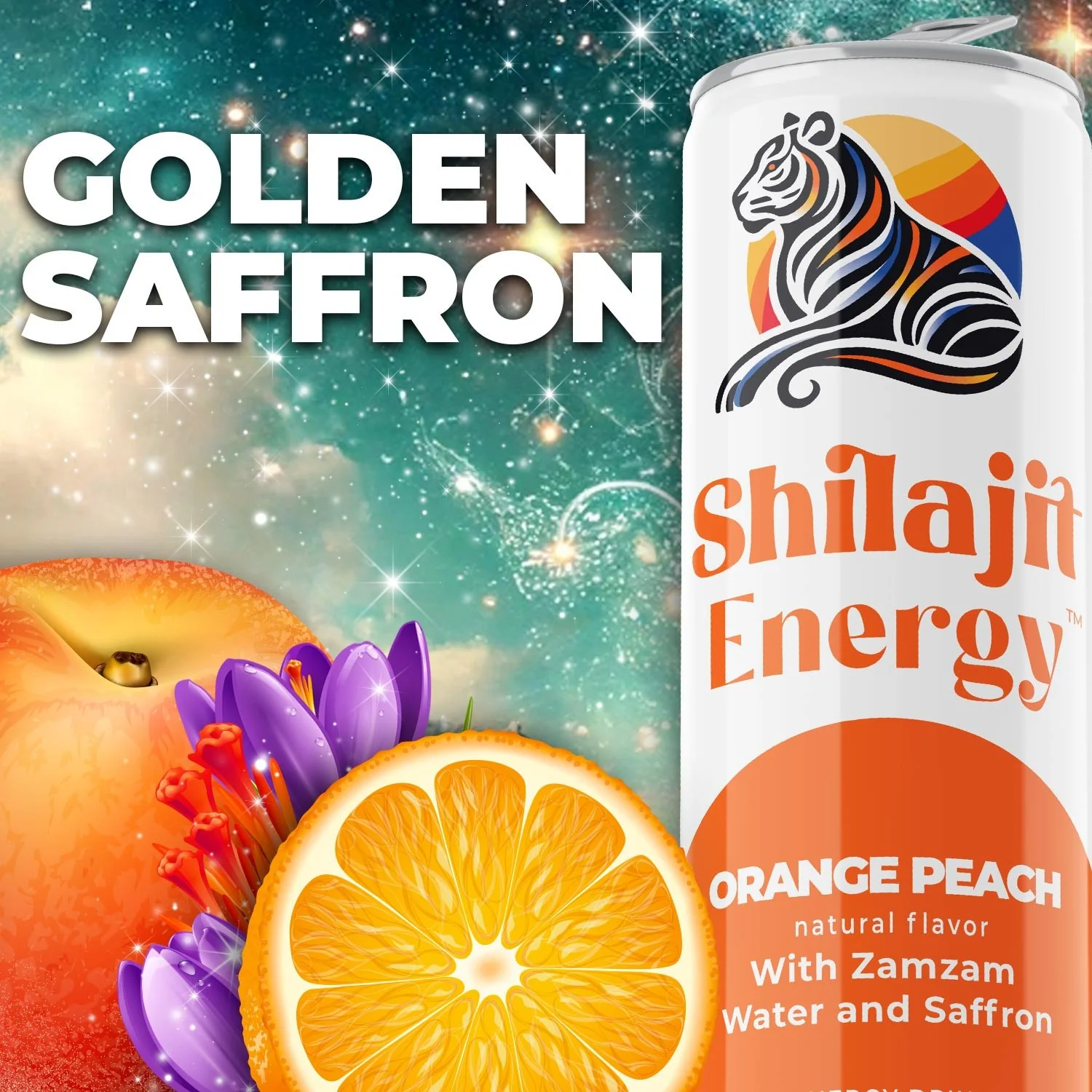 Affordable Insurance and Shilajit Energy