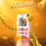 Next-Gen Shilajit Energy Drink